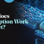 How Does Encryption Work Quizlet