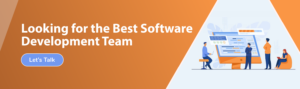 Looking for the Best Software Development Team
