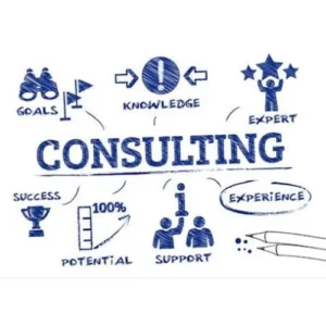 Consultancy Service