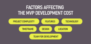 Factors Affecting the MVP Development Cost