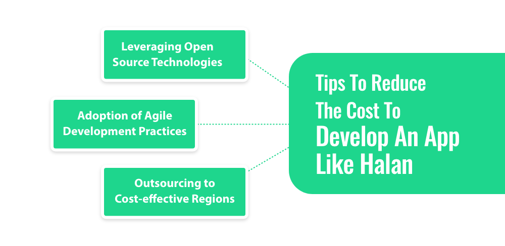 Tips To Reduce the Cost To Develop An App Like Halan
