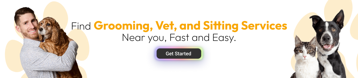 Best Pet Care Apps - CTA