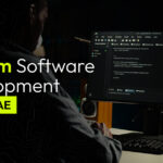 Custom Software Development Cost in UAE