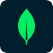 MongoDB
